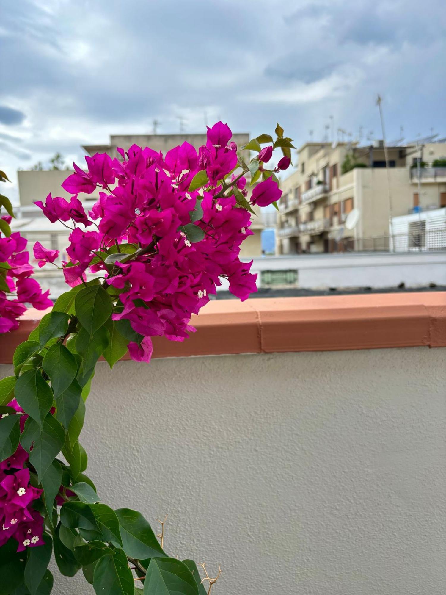 Strettomare-Business & Travel Apartment Reggio di Calabria Exterior foto